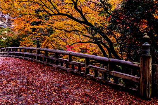 鶴仙渓（かくせんけい）