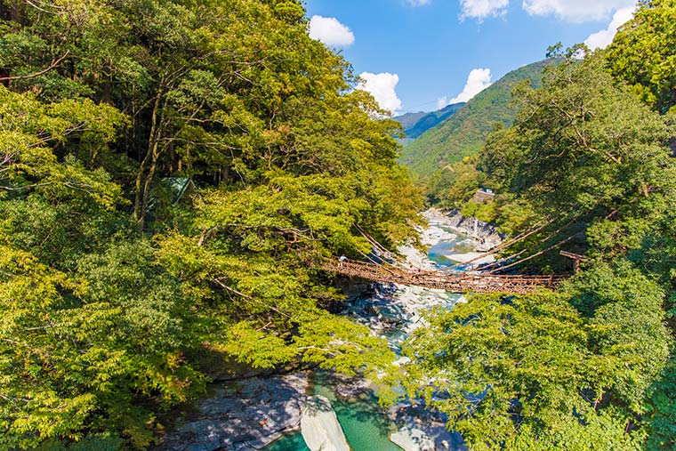 祖谷渓（祖谷渓谷）