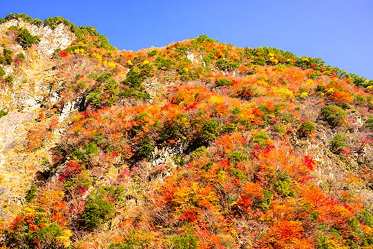 大歩危・小歩危