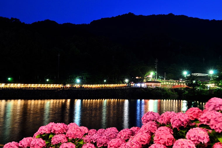 形原温泉あじさいの里