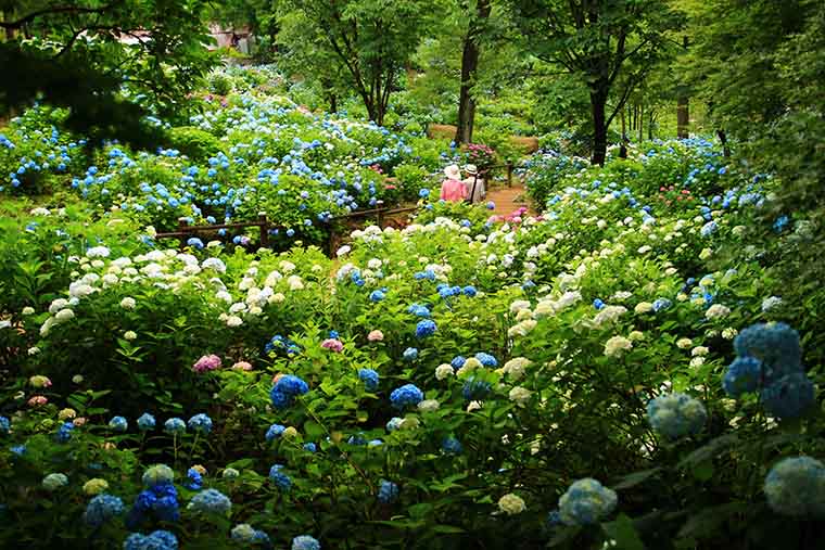 舞鶴自然文化園