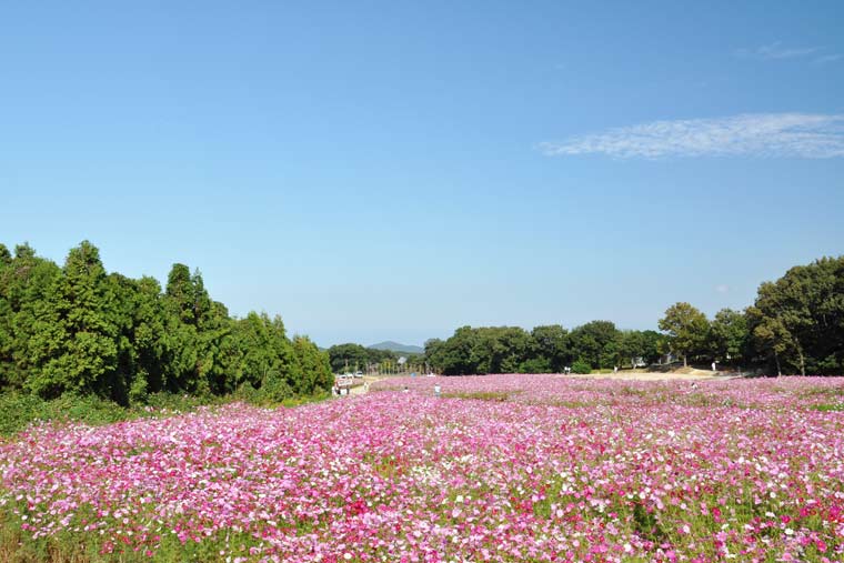 リフレッシュパーク豊浦