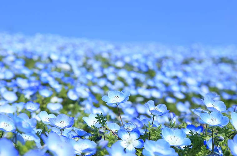 大阪まいしま シーサイドパーク