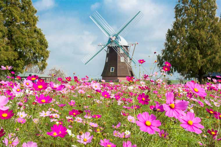 あけぼの山農業公園
