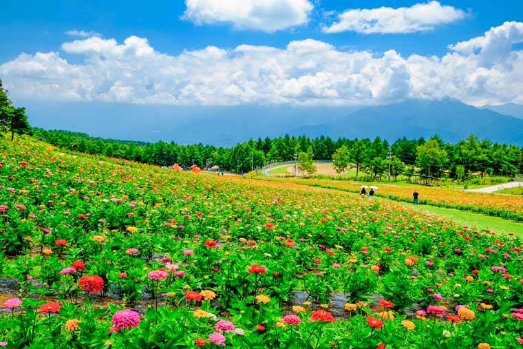 富士見高原リゾート 花の里