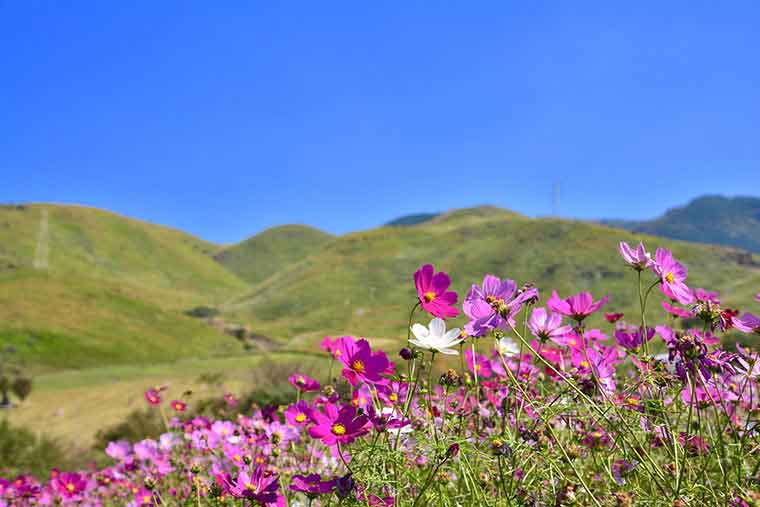 俵山交流館　萌の里