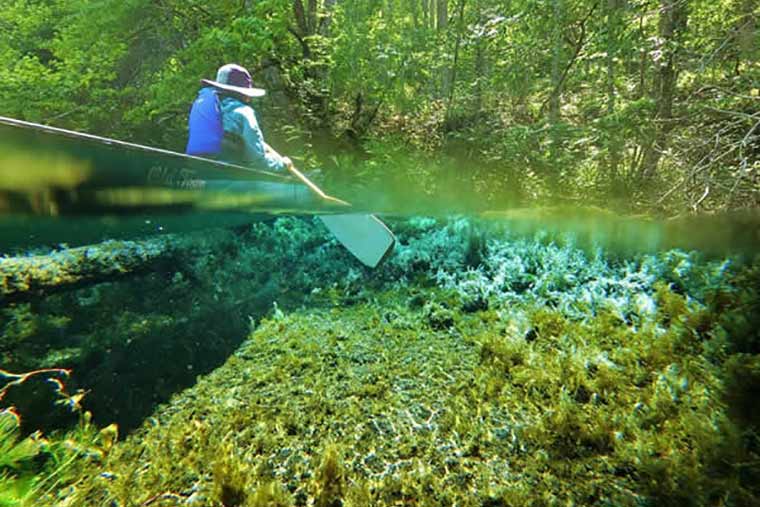 屈斜路ecoツアーズ