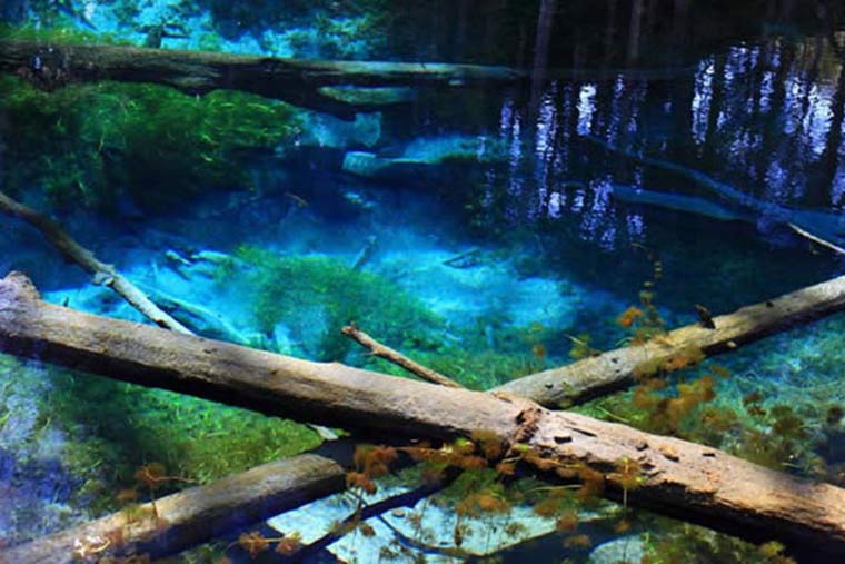 北海道　青の絶景　神の子池（かみのこいけ）