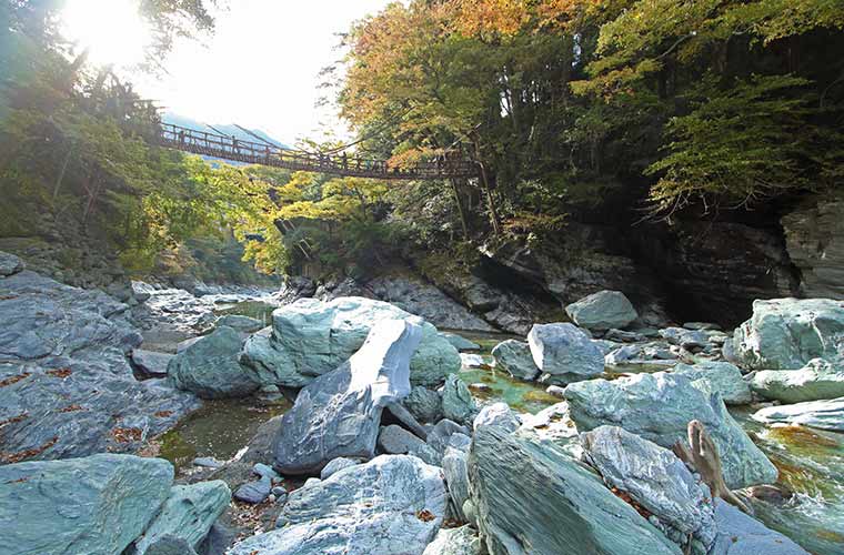 かずら橋の下からの眺め