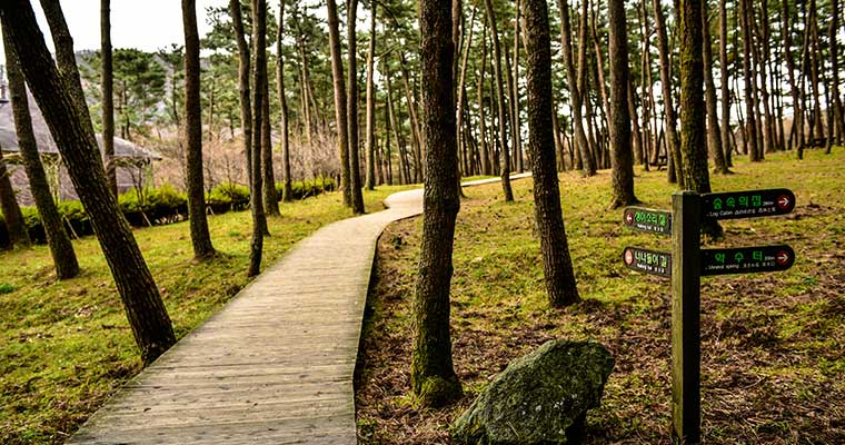 チェジュチョルムルヒュヤンリム