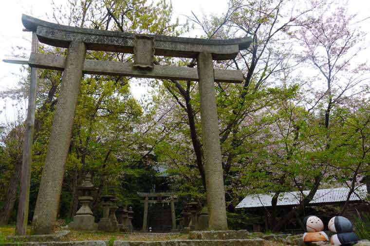 ブイアート 粟島神社 粟島港