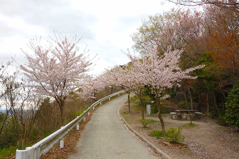高屋神社本宮手前の道