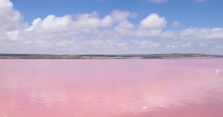 ピンク・レイク