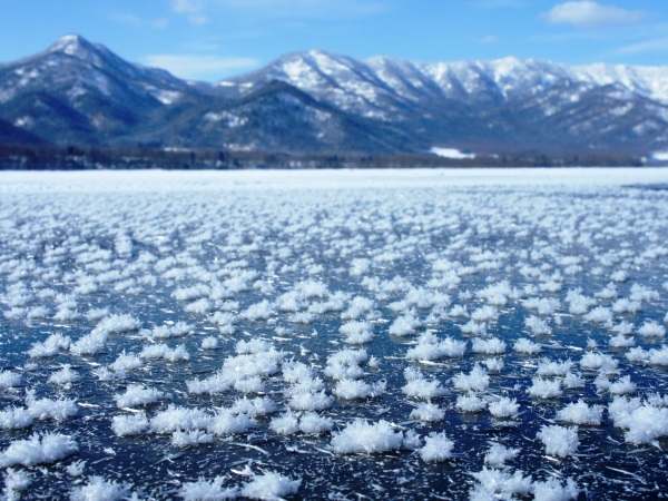 フロストフラワー