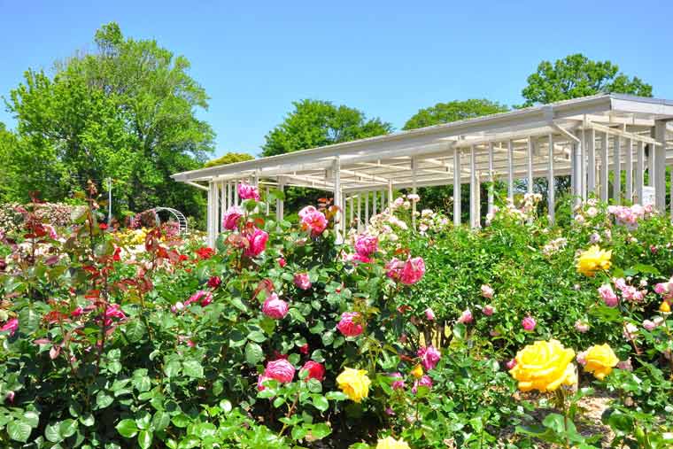 日比谷花壇大船フラワーセンター