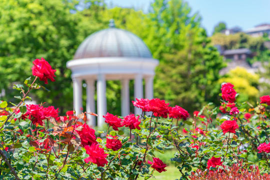 横須賀市ヴェルニー公園
