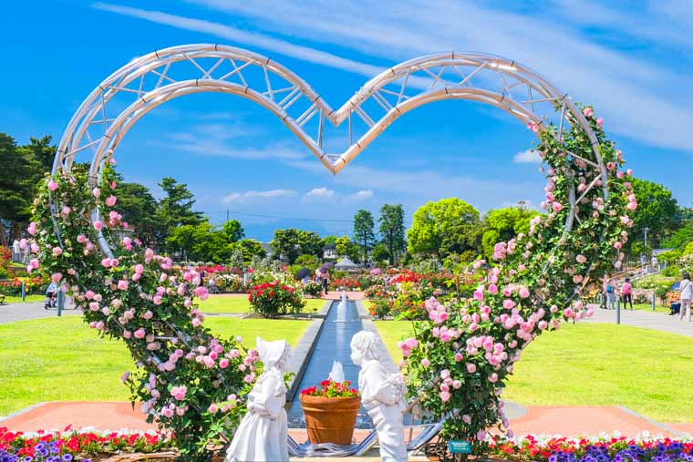 敷島公園バラ園