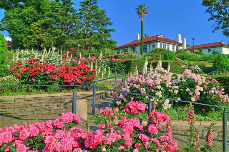 港の見える丘公園