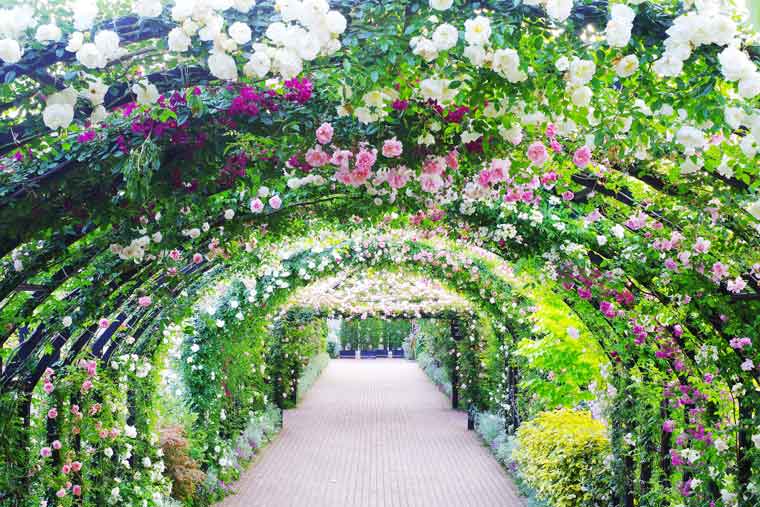 横浜イングリッシュガーデン