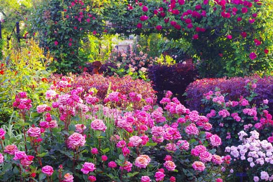 横浜イングリッシュガーデン