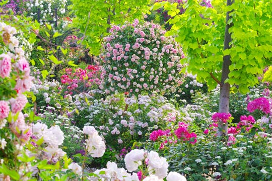 横浜イングリッシュガーデン