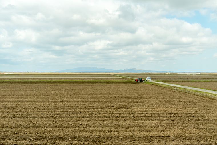 リゾートしらかみ 八郎潟