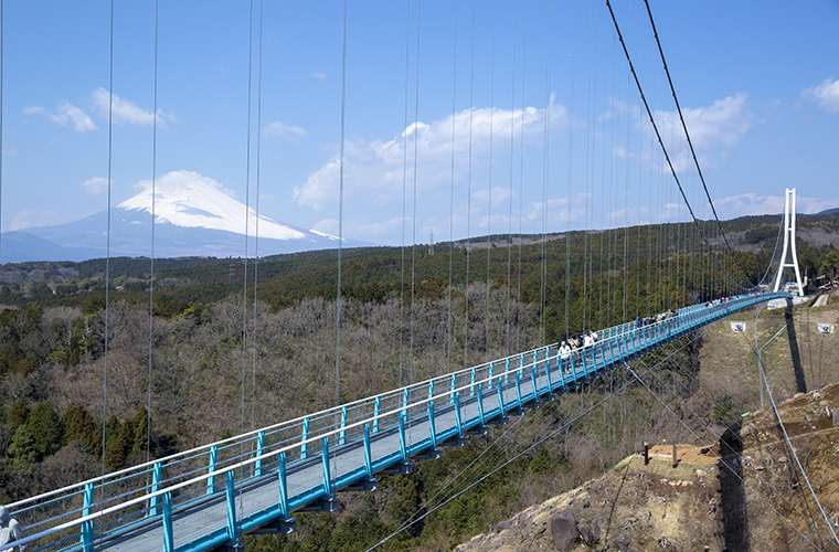 三島スカイウォーク展望台からの眺め