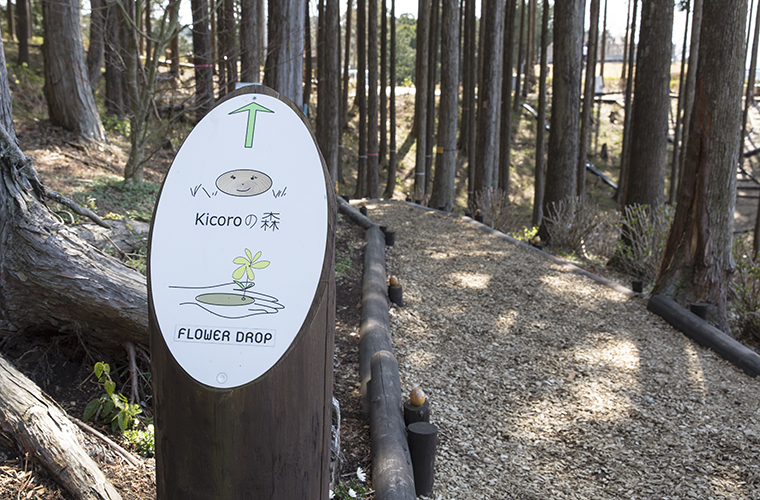 散歩コースkicoroの森