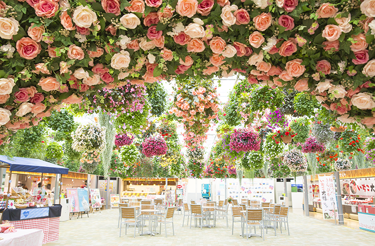 スカイガーデン