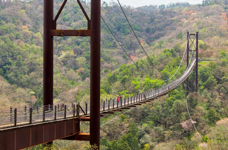 星のブランコ (交野吊橋)