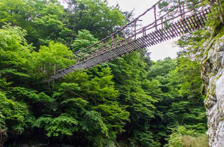 奥祖谷二重かずら橋