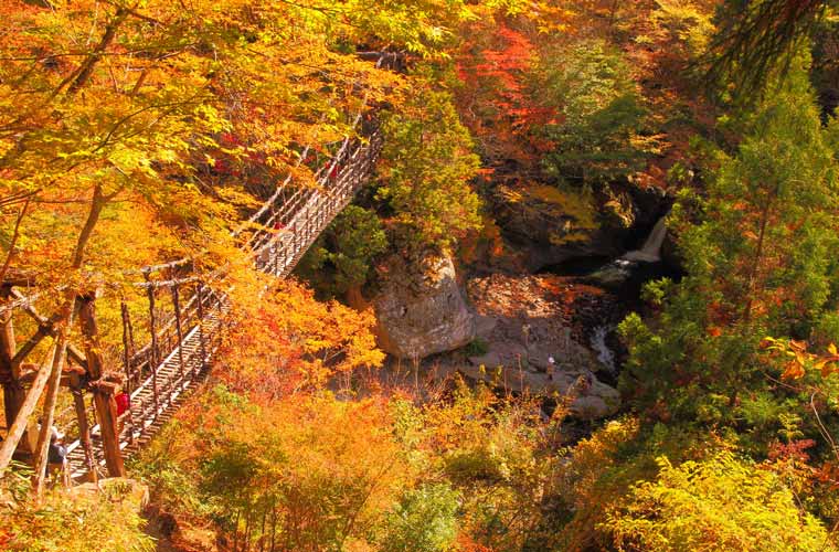 奥祖谷二重かずら橋