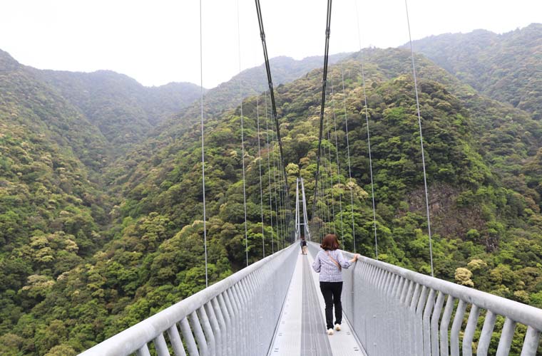 綾の照葉大吊橋