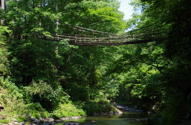池田かずら橋