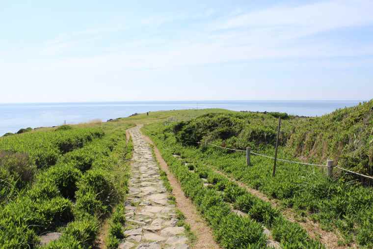 牧崎風の公園の展望所