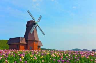 かみゆうべつチューリップ公園