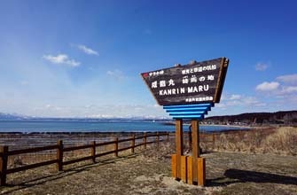 サラキ岬チューリップ園