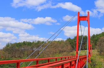 雪谷川ダムフォリストパーク・軽米 チューリップ園