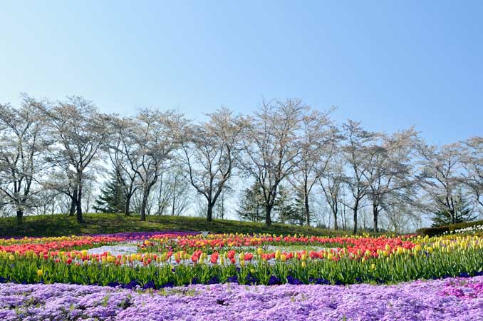 みちのく公園（国営みちのく杜の湖畔公園）
