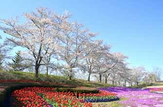 みちのく公園（国営みちのく杜の湖畔公園）