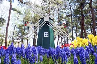 国営ひたち海浜公園