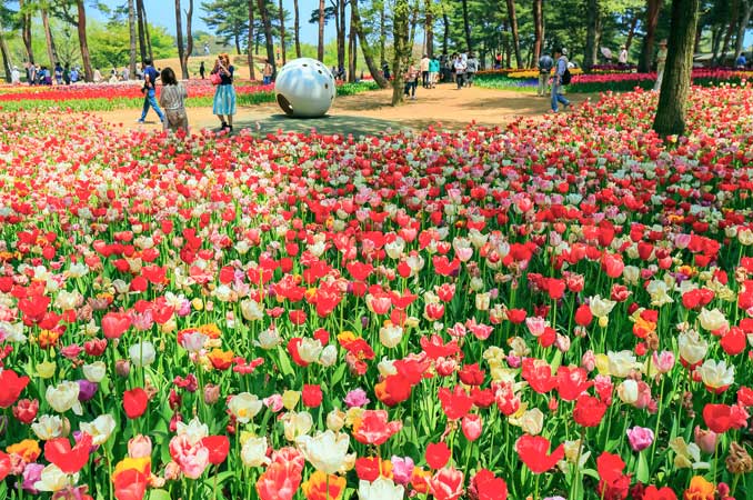 国営ひたち海浜公園