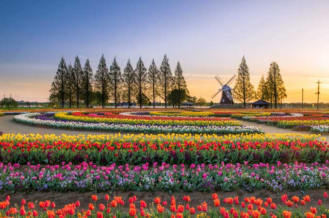 あけぼの山農業公園