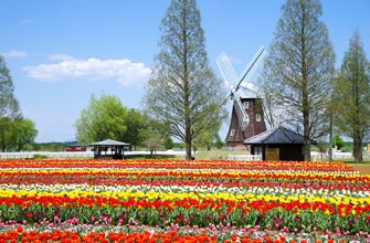 あけぼの山農業公園