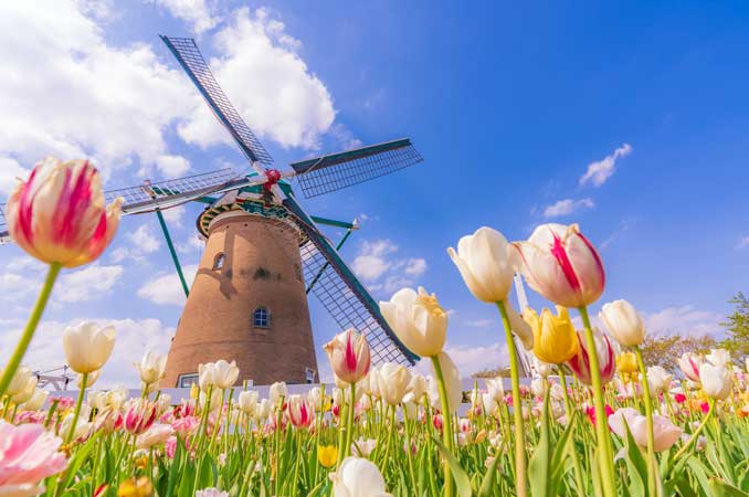 佐倉ふるさと広場