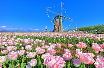 佐倉ふるさと広場