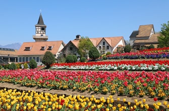 山梨県フラワーセンター・ハイジの村