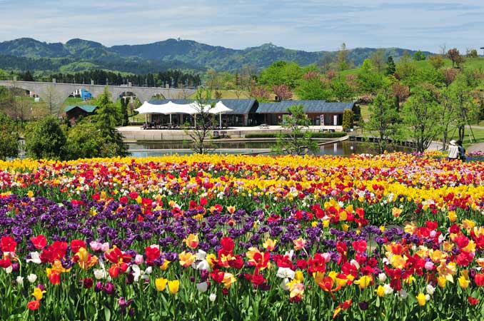国営越後丘陵公園