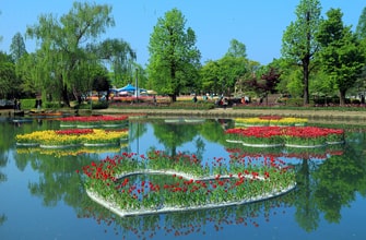 砺波チューリップ公園