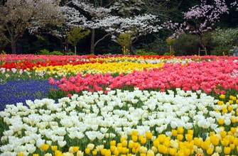 はままつフラワーパーク